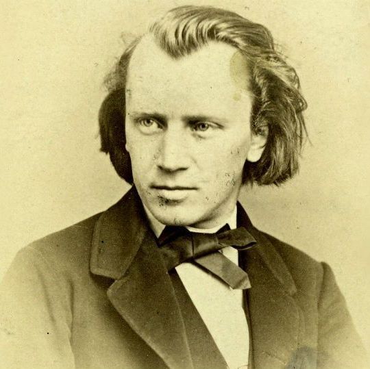 Young Brahms